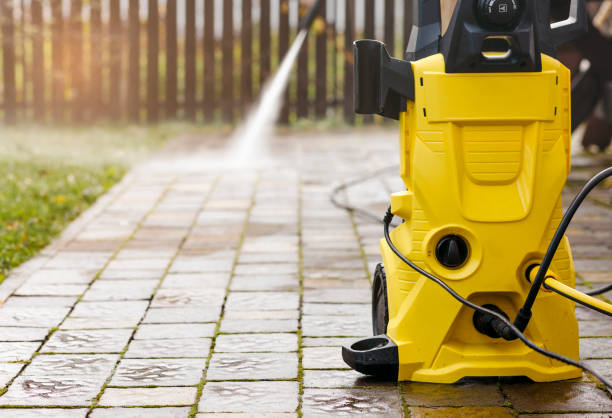 Animal Enclosure Cleaning in Tamaqua, PA